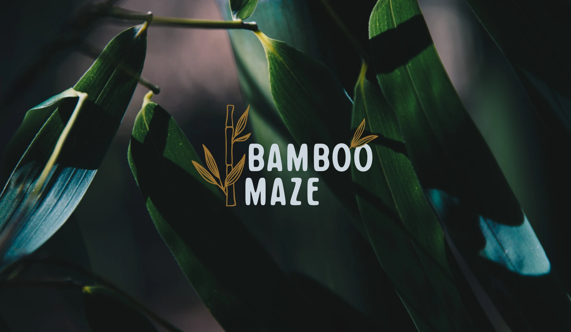 bamboo maze logo design